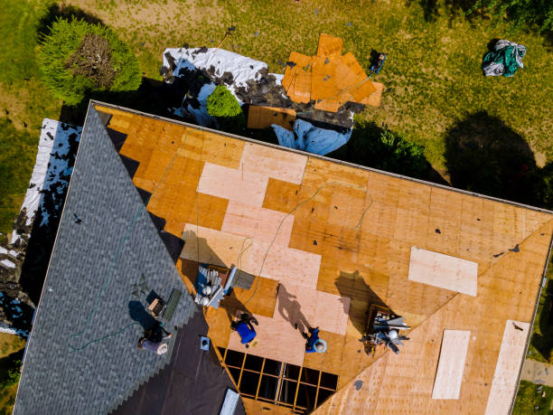 Best Metal Roofing Contractor  in Forreston, IL
