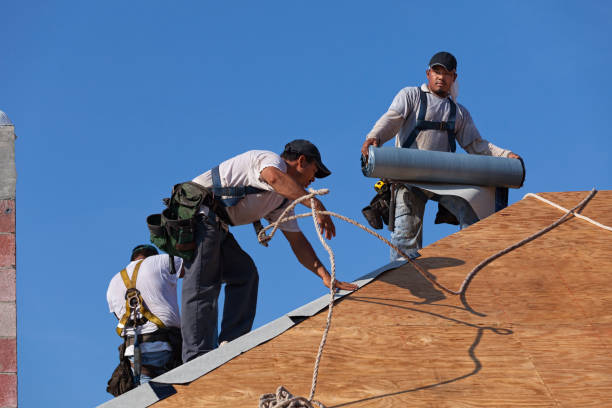 Best Local Roofing Companies  in Forreston, IL