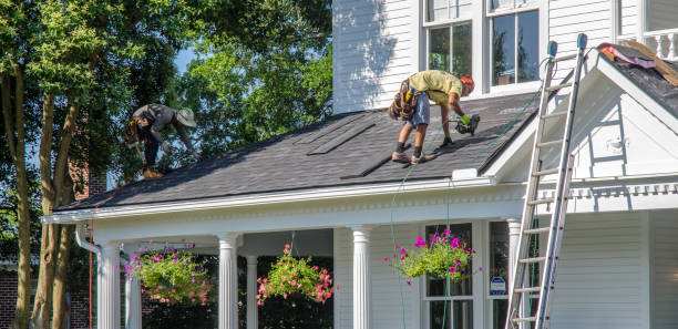 Best Emergency Roof Repair  in Forreston, IL