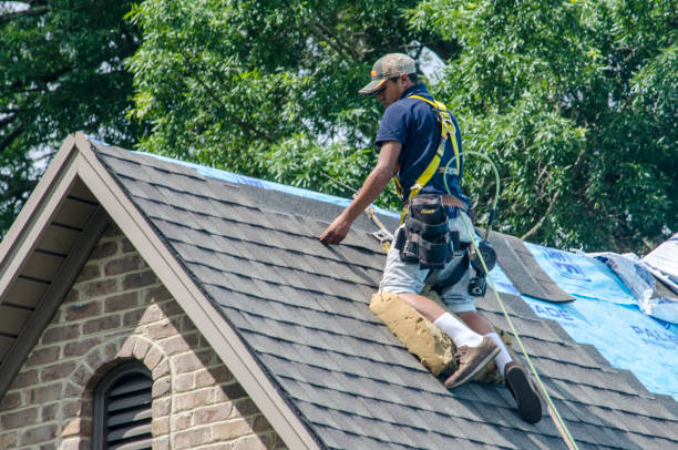 Gutter Installation and Roofing in Forreston, IL